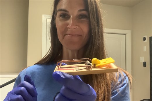 Watch Honest Review and Setup of the Victor Mouse Traps on Amazon Live