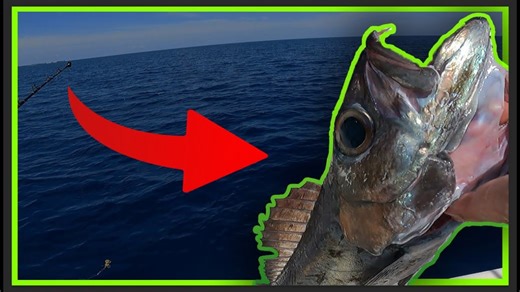 Caught at 1,500 Feet: This Deep Sea Predator Looks Straight Out of a Horror Film