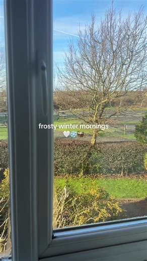 Cozy Morning Routines for Frosty Winter Days