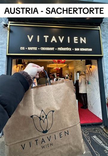 Enjoying Sachertorte and Cheesecake in Vienna