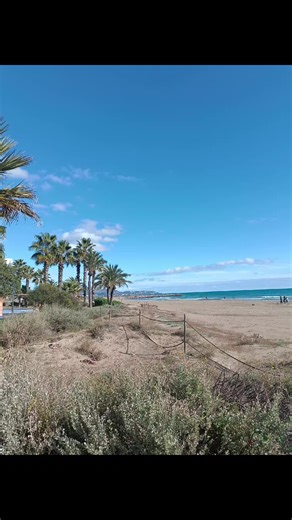 Videos de Cheska (@cheska_2025) con “Rise Like a Phoenix - Conchita Wurst”