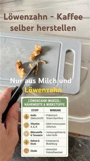 Kaffee aus Löwenzahn herstellen - Wie nahrhaft ist Löwenzahn?