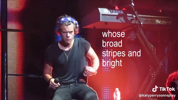 happy american flag bandanarry day!! :: #harrystyles #fyp #1D #onedirection #fypシ #lyrics #edit