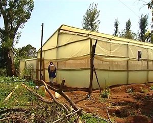 1.4K views · 29 reactions | GREENHOUSE TOMATO FARMING | African Farm Resource Centre | Facebook