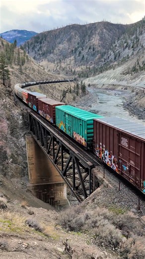 MIXED FREIGHT OVER BRIDGE IN THE CANYON #youtubeshorts