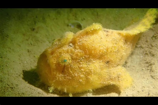 Sabah Travel Guide on TikTok