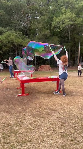 🎃Hello WEEKEND!🍁 Today, Friday, Oct 24th is our last Friday with afternoon & evening hours!! Come sit around the campfire 🔥 roast marshmallows, and enjoy the corn maze! 🌽 This weekend (10/24 - 10/26) hours: Fri 10/24: 4p - 10p Sat 10/25: 10a - 8p Sun 10/26: 10a - 6p 🌻 Y’all come soak up all things FALL like Apple Cider Donuts, Wagon Rides, Kettle Corn, Bonfires, S’mores, and the Corn Maze! 🍂 | Washington Farms