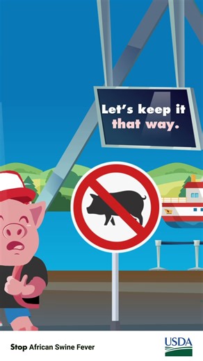 Stop African Swine Fever