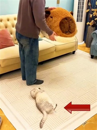 The Giant Slipper Bed DIY 🧵😻 #shorts