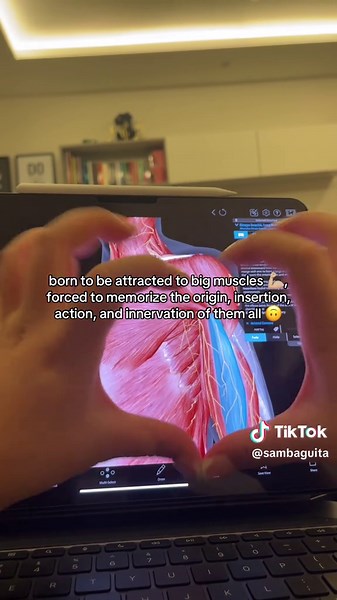 pain 🥲 #fyp #foryoupagе #student #study #studytok #studywithme #anatomy #biology #muscle #medstudent #medschool #medschoollife #medtok #medschoolproblems