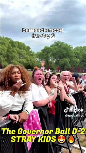 Straykids definitely came down👇btw the performance😍💥 #skz #governor ball