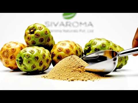 Sivaroma Noni Dry Extract Powder