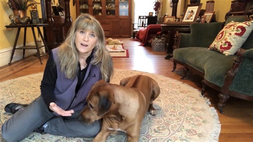 12 reactions | As a graduate of the Dog Trainer Professional program,...