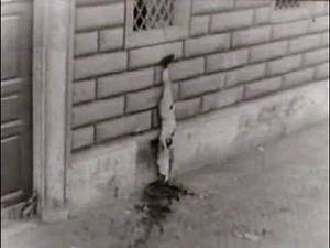 Execution of Mussolini in 1945 (Il Duce of Italy) | RallyPoint