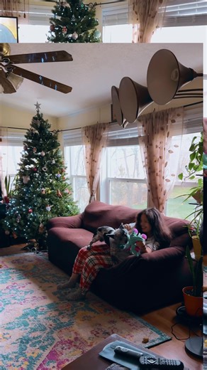 Meet My Energetic Cattle Dogs: Max and Duke