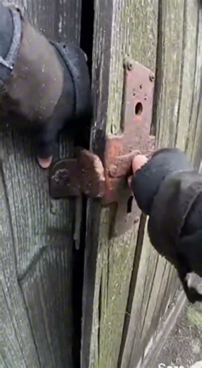 SCP-004:穿越門,測試失敗，差點被吸進異次元.