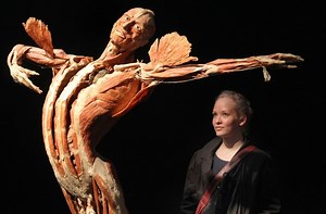 Körperwelten von Gunther von Hagens: Menschen-Museum will weitermachen