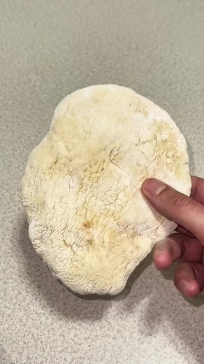 Authentic Egyptian Bread Recipe: Eish Baladi