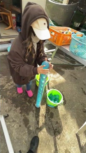 Marble Run ☆ Genius Guppy Course③