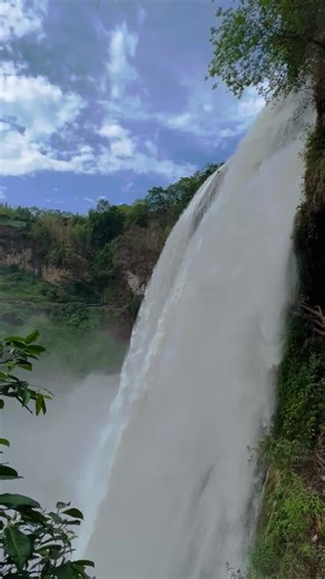 Super Frank on TikTok