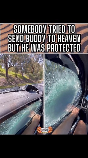 5.2M views · 47 reactions | Making a smart investment into bulletproof windows was worth it | PreciseEarz.com | Facebook