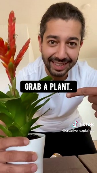 Clever way to water your plants slowly while your away for a few days! 🤩 #planttiktok #lifehacks #rope #diy