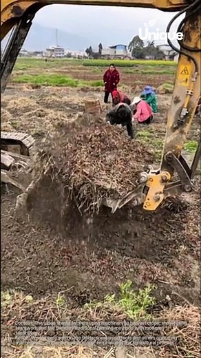 Harvesting crops with heavy machinery