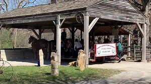 It’s a beautiful day for a horse-drawn hayride at the Farmstead!🐴 | Deanna Rose Children's Farmstead