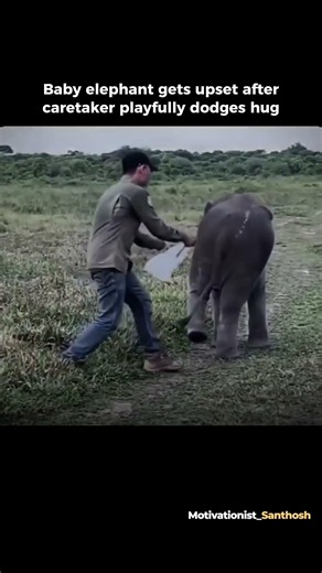 Baby Elephant Gets Offended 😭🐘❤️| #shorts #viral