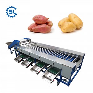[Hot Item] Advanced 5-Level Grading Machine for Potatoes and Sweet Potatoes