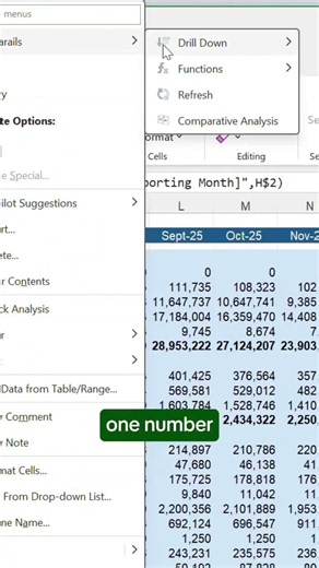 👉how to create dynamic reports and drill down data inExcel using Datarails