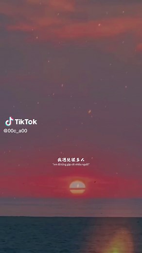 Em đã gặp gỡ rất nhiều người, nhưng lại chỉ muốn chầm chậm làm quen với anh. #giodemtotinh #晚风告白 #tinhda #lovestory #fpyシ #xuhuong