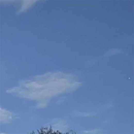 Funny Text Message Reactions