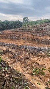 Sikit sikit baby sikit sikit baby! Apa salah baby ya? #viral #fyp #reels #foryou | Chelsea Queen