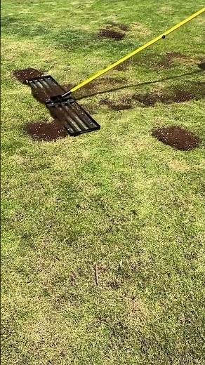 This garden grass broom is very practical making yard cleaning faster easier & more efficient daily