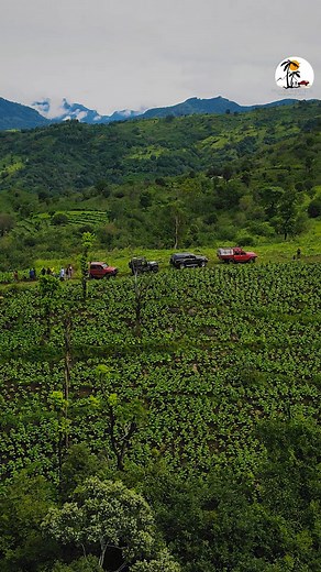 17K views · 484 reactions | KALAWALA...#travelweekend #overland #nature  | Travel Weekend | Facebook