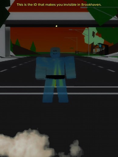 Discover Invisible IDs in Brookhaven Roblox Gameplay