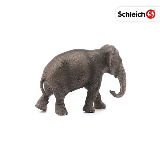 Watch Schleich Wild Life Asian Elephant, Female Toy Figurine on Amazon Live