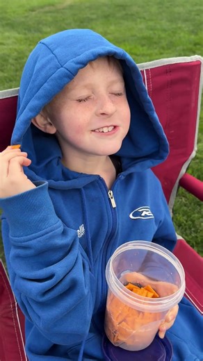 Dash's Cheez-it Advertisement