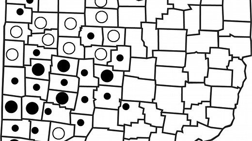 Here they come: See where in Columbus the Brood X cicadas will be out in force