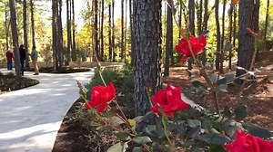 9.2K views · 216 reactions | After 16 years of dreaming, planning, fundraising, and planting, the Longview Arboretum and Nature Center celebrated their Grand Opening today. | City of Longview | Facebook