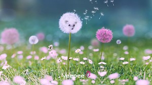 8.9K views · 14 reactions | Just because it's Friday.... treat...