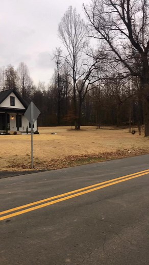 Green Clover Landscaping & Tree Service LLC on Reels