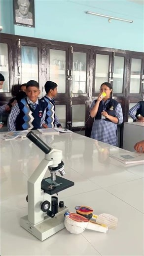 Chapter sound, NCERT CBSE class eight activity based learning
