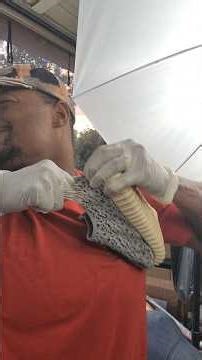 Checking if Retro YEEZYS are EASY to DESTROY!