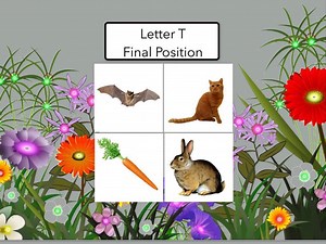 Letter T : Final Position Of Words