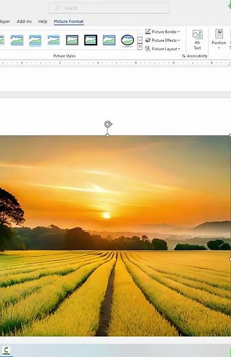 How to insert multiple image in Microsoft word #microsftword #howto#tutorial #word #windows