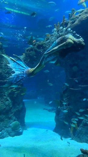 🌀 Twirling our way through this magical weekend with @wwmermaids 🌀 Catch my sea sisters for one more weekend (plus tomorrow!) ✨️ @wwmermaids ✨️ @mississippiaquarium ✨️ @merbellastudios #wwmermaids #wandsandwishes #wandsandwishesmermaids #mississippiaquarium #professionalmermaid #realmermaid | Mermaid Venilia of New York