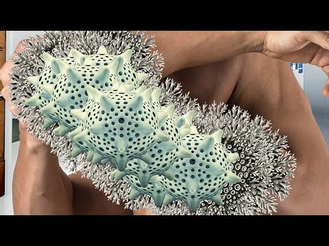 ASMR Arm Relaxation Ritual 😴 | Slow Massage, Soft Touch & Stress Relief