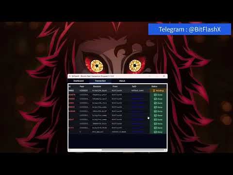 Flash BTC Transaction Full Version 12.5.1 Software + License Key 2026